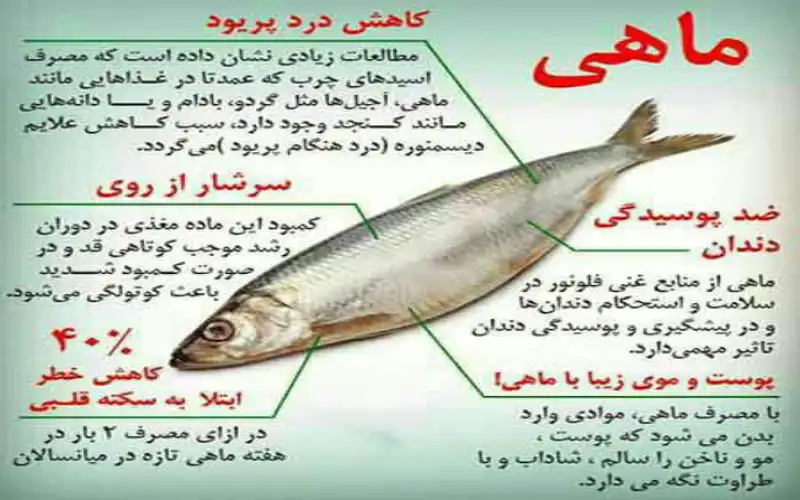 تن ماهی رژیمی چیست