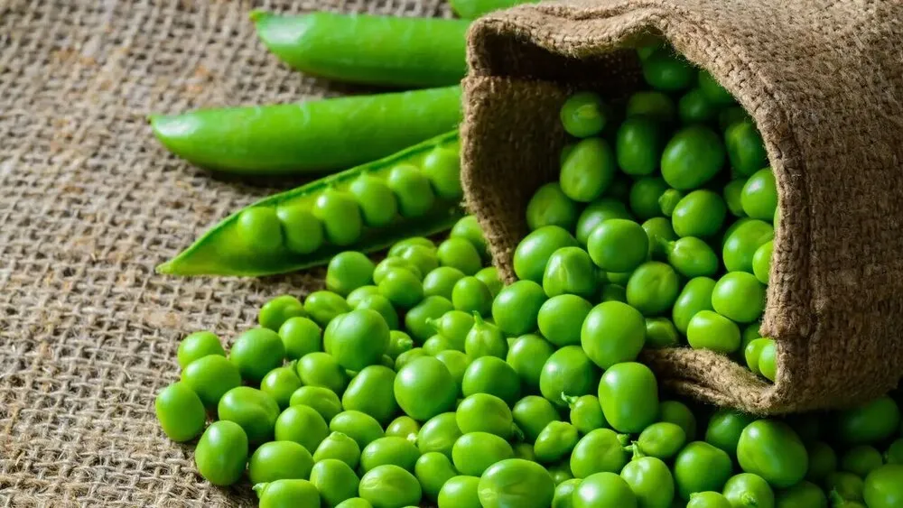 خوراک لوبیا سبز و سیبزمینی