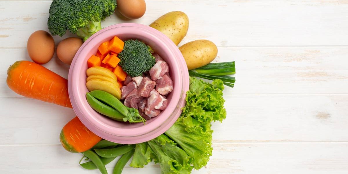 پروتئین و تاثیر آن