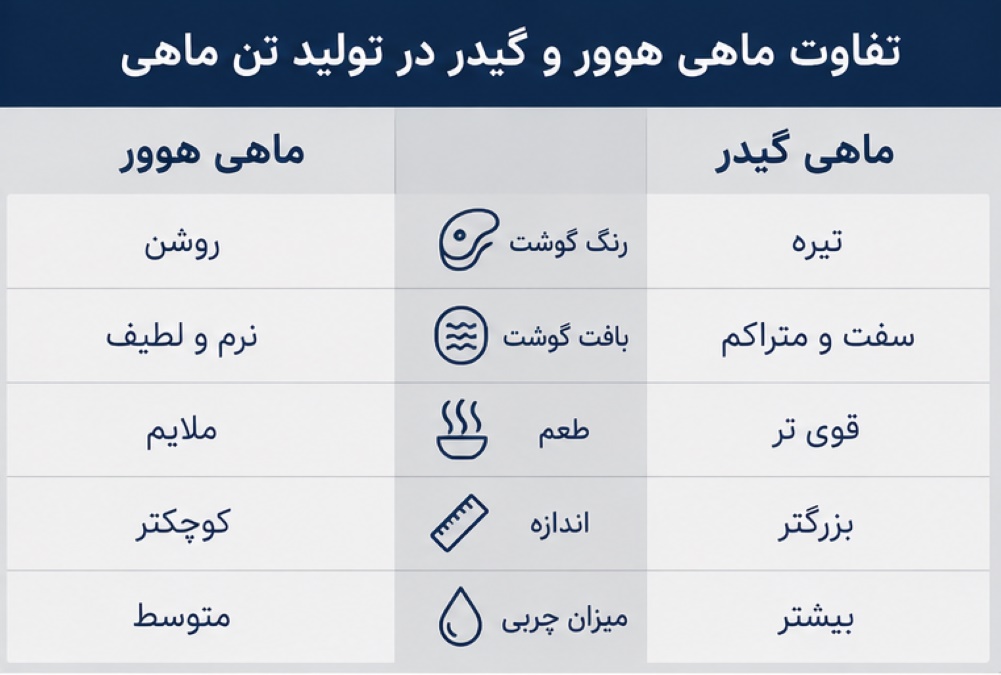 تولید تن ماهی